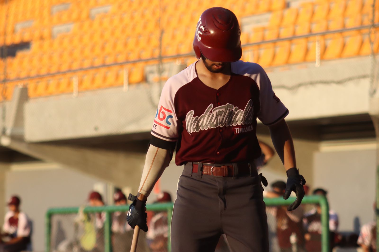 Industriales De Otay Perdi La Serie Contra Delfines De La Paz Tj Sports