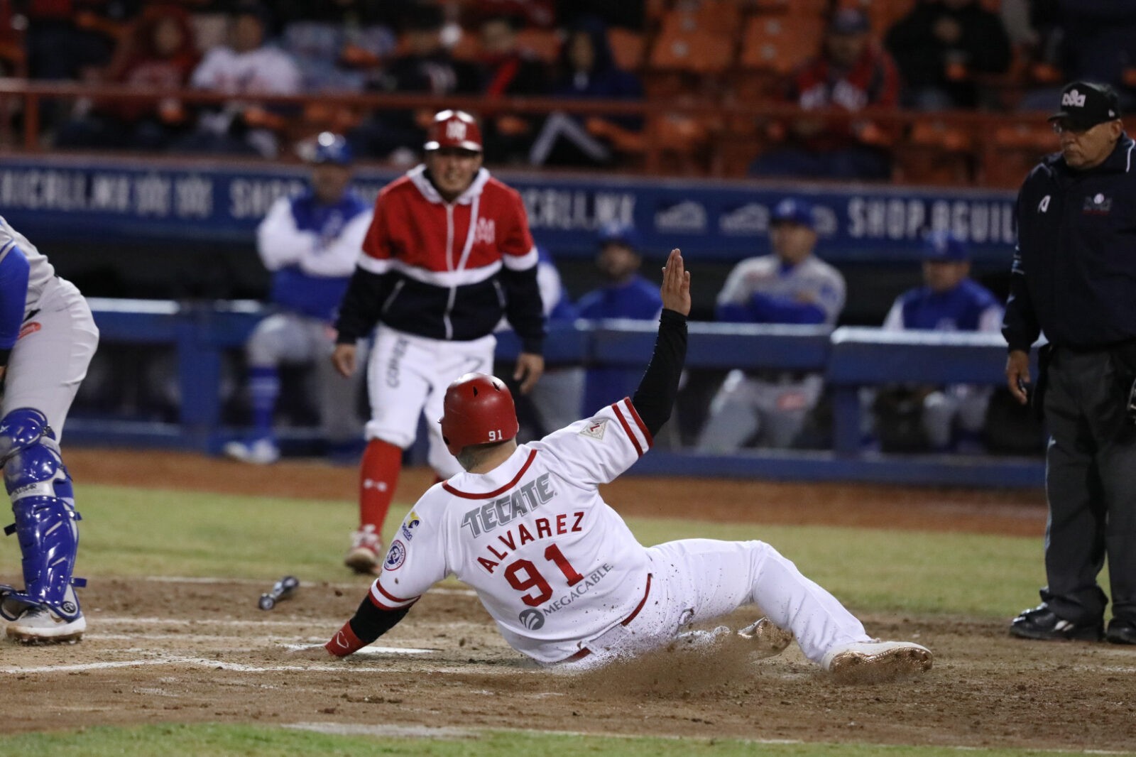 Águilas cae en el debut de Félix Fermín – TJ Sports