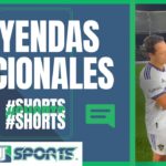 Lo que DIJO Efraín Álvarez de la Selección Mexicana, Gerardo Martino y Javier “Chicharito” Hernández