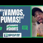 Previa I Xolos recibe al Ave