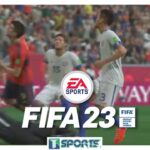 La afición mexicana va contra el mundo