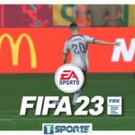 La pelota rueda, mientras Pelé juega el partido de su vida