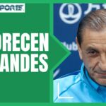ASÍ FESTEJARON el Gol del Empate Las Chivas del Guadalajara frente al Querétaro FC #ligamx #shorts
