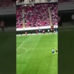 La DECEPCIÓN de la afición de #Chivas por NO PODER GANARLE al #Querétaro #ligamx #futbol