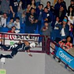 Somete Toros al campeón