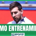 Este viernes arranca semifinales Zonkeys en calidad de visitante