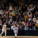 Serie para Toros